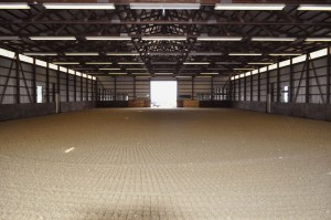 The completed indoor arena. It's amazing!